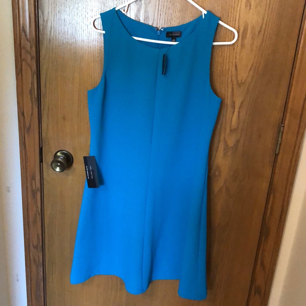 The Limited Dress NWT